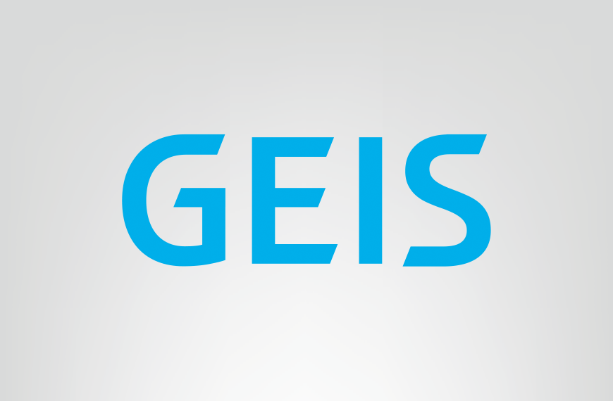 GEIS Elektrik - GEIS Elektrik